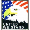 USA UNITED WE STAND EAGLE SQ PIN